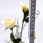 Bild 18 von 20