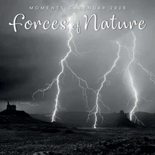FORCES OF NATURE - 2025 WALL CALENDAR - BRAND NEW - 360484