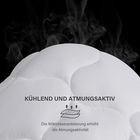Bild 4 von 12
