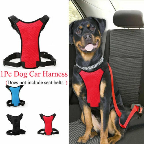 Nylon Dog Collars with Leash