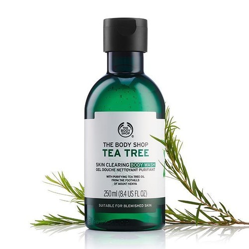 Skin Clearing TEA TREE Body Shop> Blemishes/Blackheads / Spots / Shiny Oily Skin - Picture 34 of 68