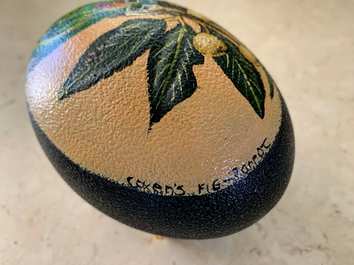 Vintage Hand Painted Emu Egg, Depicting Parrot by Betty Schilo on Display Stand - Picture 3 of 7