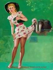 Ostrich Lifts Woman's Dress Shows Sexy Legs 8.5x11" Photo Print Art Frahm Pinup