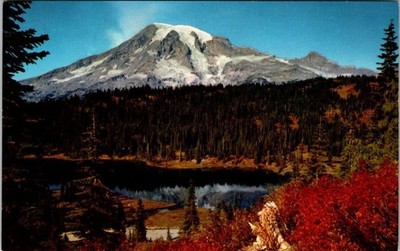 Vintage Mount Rainier Reflection Lake Postcard by Ellis Postcard Co.