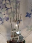 General Electric Projection 500w 120v Light Bulb Mazda Tested Works  — photo 7