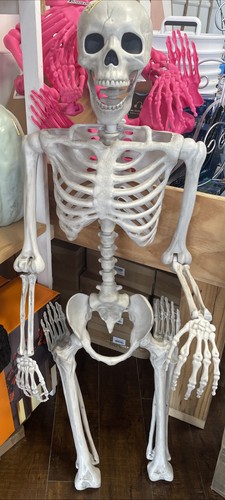 ⚡️Hyde & EEK! 60” Posable Skeleton Halloween