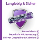 Foto 11 di 11