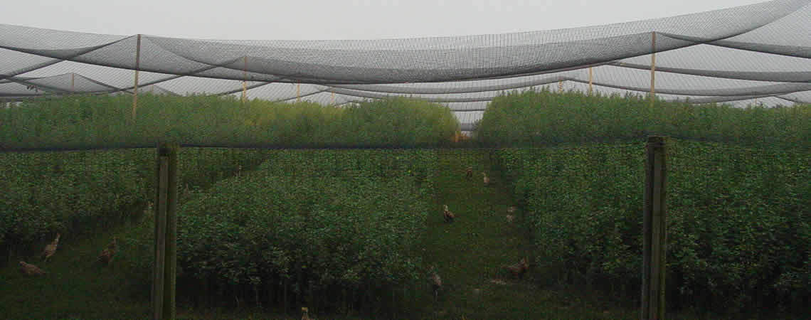 Picture 15 of 15