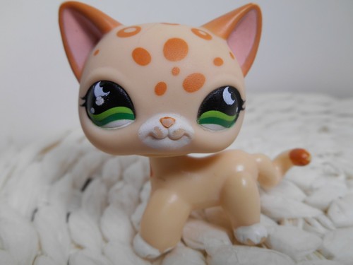 LPS Littlest petshop pet shop chien chat européen dogue colley cat dog rare - Imagen 65 de 76