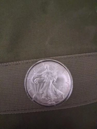 2000  Walking Liberty American Eagle 1 oz Fine .999 Silver Dollar Great Toning!