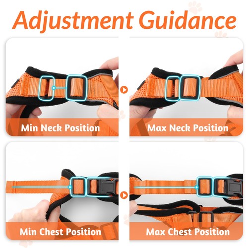 rabbitgoo Cat Harness and Lead Escape Proof Adjustable Reflective Vest Orange - Picture 7 of 12