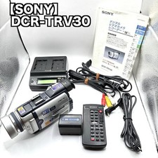 Sony Handycam DCR-TRV30 Camcorder for sale online | eBay