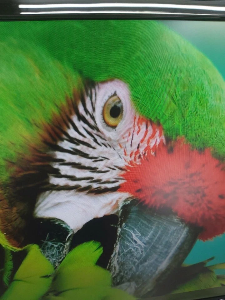 Acer V225WL 22" LCD LED Backlit Widescreen 1680x1050 16:10 5ms Monitor Grade B - Image 4 of 4