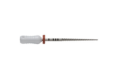Dentsply Sirona A041702110212 ProTaper Hand Files F2 21mm PTUHF221 6/Pk