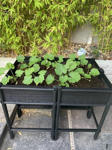 Raised Elevated Garden Bed Planter With Legs W/Posts & Netting L36” X W24” X H27 - Picture 6 of 10
