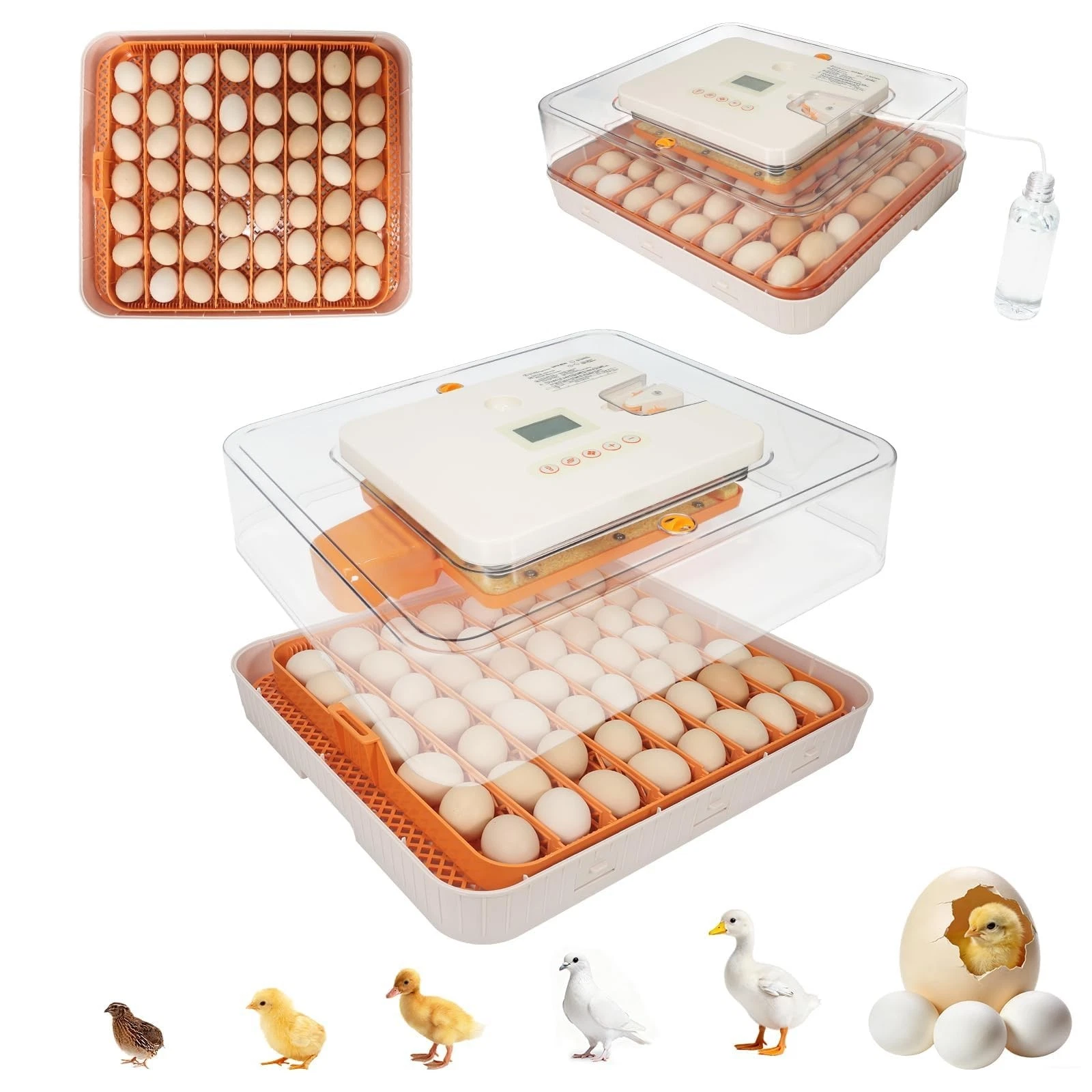 4th Series-56-Egg Incubator for Breeders, Sensor-Based Precise Humidity & Tem...