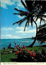VINTAGE CONTINENTAL SIZE POSTCARD JAMAICAN COASTLINE STRIP OF SHIP STAMPS REAR