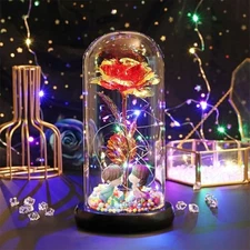 Christmas Rose Gift for Women Mom Girlfriend Wife Valentines Birthday Presents