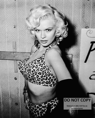 JAYNE MANSFIELD ACTRESS AND SEX-SYMBOL PIN UP - 8X10 PUBLICITY PHOTO (OP-388)