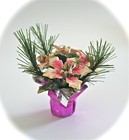Foto 3 di 4