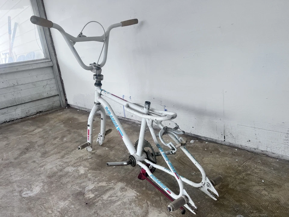 Ross Piranha Freestyle BMX Old School 1985 Foto 2 de 4