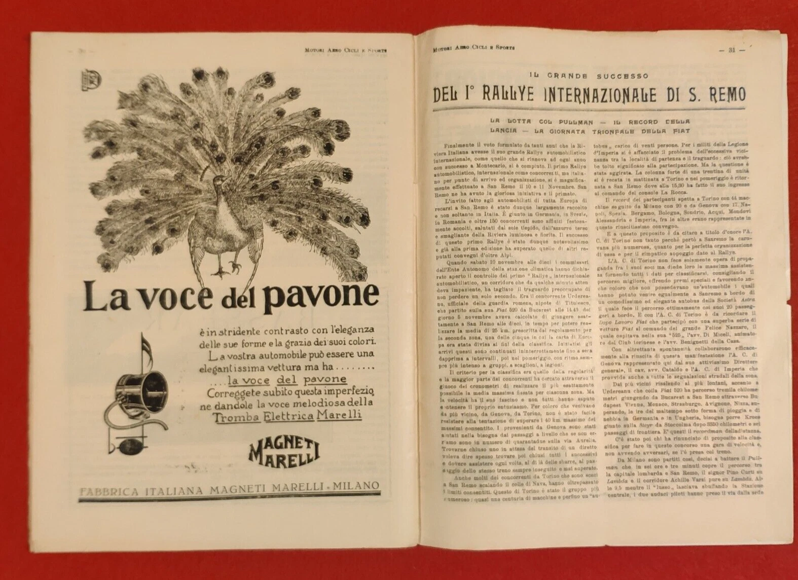 Foto 14 di 16