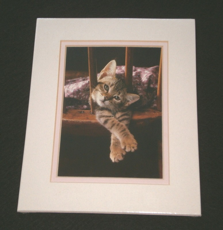 NEW VINTAGE 1988 ~ SIMON IN THE CHAIR by RON KIMBALL ~ Matted CAT LITHOGRAPH