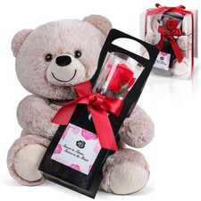 Teddy Bear for Girlfriend Gift, 9.8'' Stuffed Bear Holding Forever Fresh Flow...