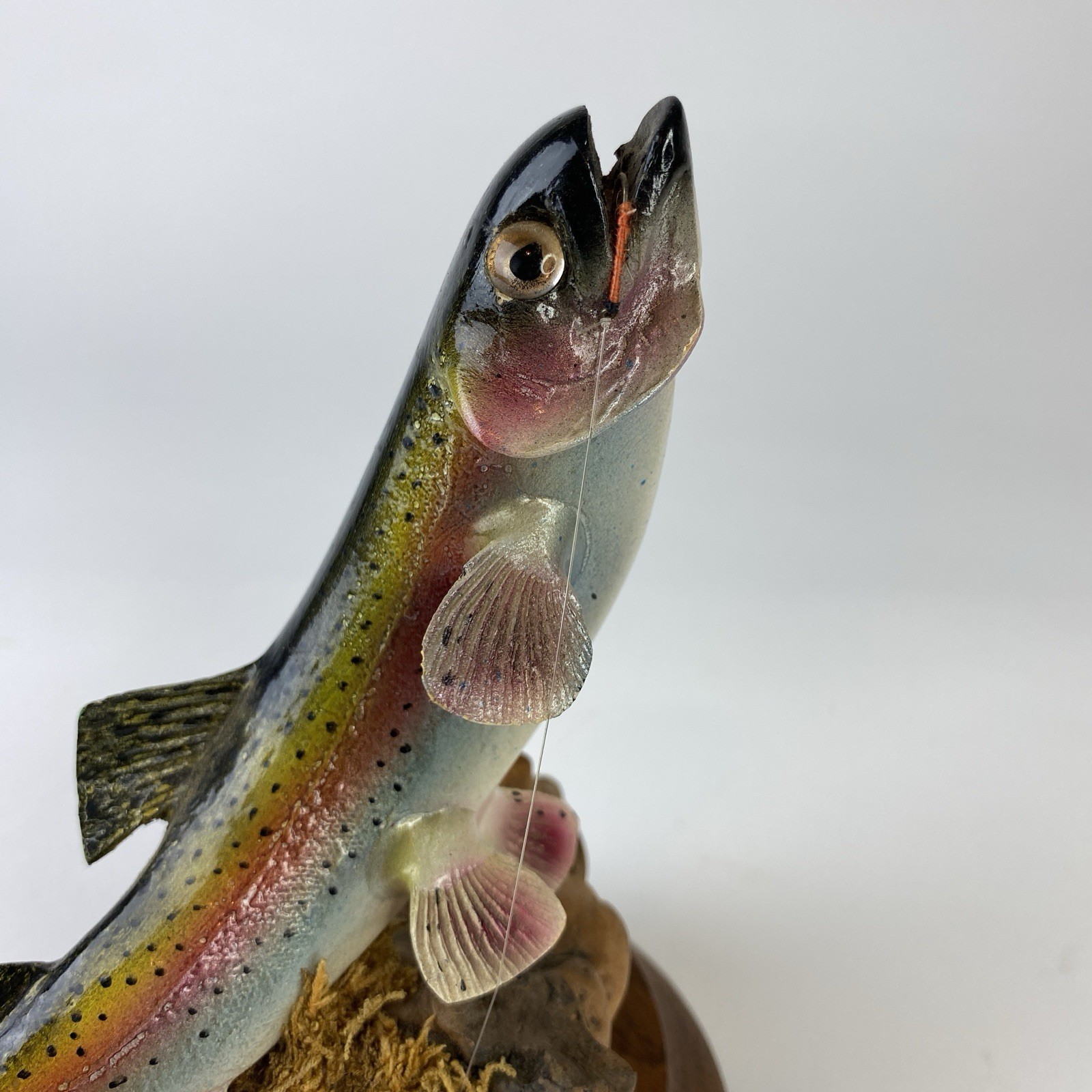 Picture 5 of 16