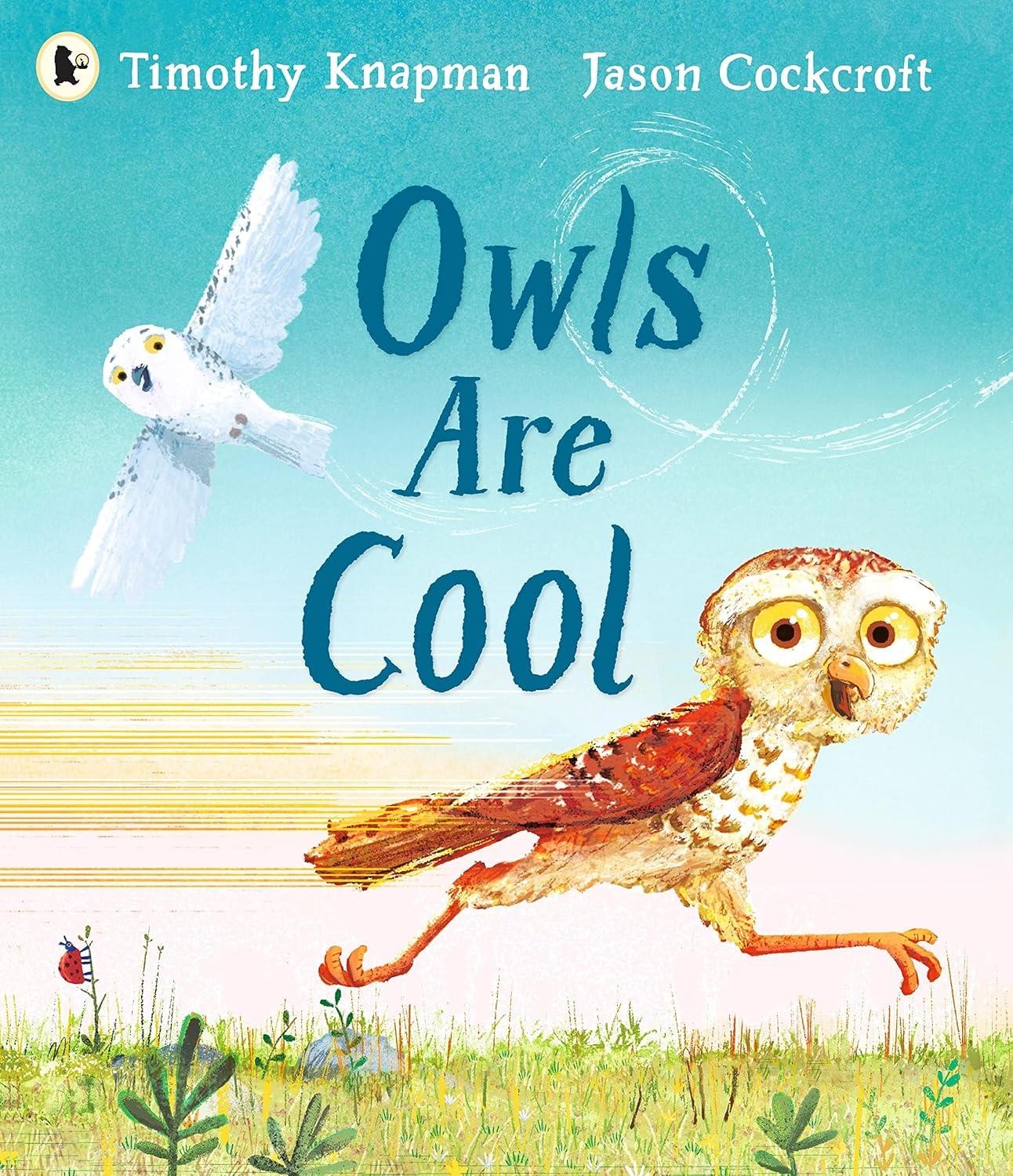 Owls Are Cool by Timothy Knapman PAPERBACK 9781529510959 - Image 10