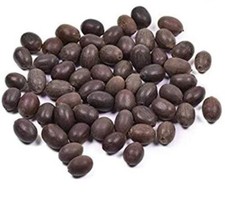 Pure Kamal Gutta Gatta Lotus Seeds NELUMBO NUCIFERA for Goddess