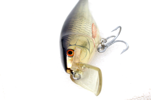 Vintage Rapala Super Shad Rap Musky 6" Deep Runner Balsa Fishing Lure New. - Picture 4 of 5