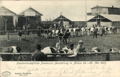 Ak Hamburg Altona, Landwirtschaftliche Provinzial-Ausstellung 1905 - 11307074