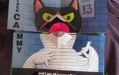 BOO WHOO? - Spooky Mix-&-Match Pop-Up - Kees Moerbeek. Hb FUN! UNread in MELB - Picture 12 of 12