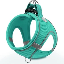 Joytale Dog Harness SMALL Step in Breathable Mesh Reflective Padded TEAL