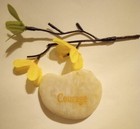 Foto 14 di 23