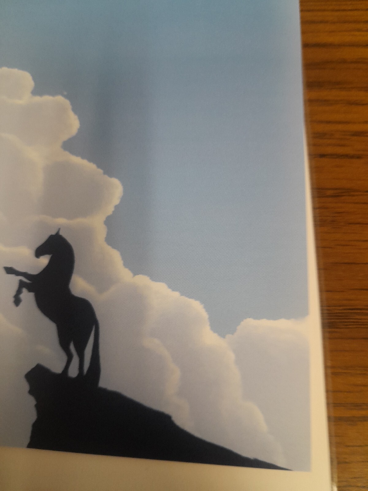 Picture 5 of 7