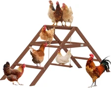 PETSFIT Roosting Bars for Coop Accessories, Chicken Perches with Swing Are