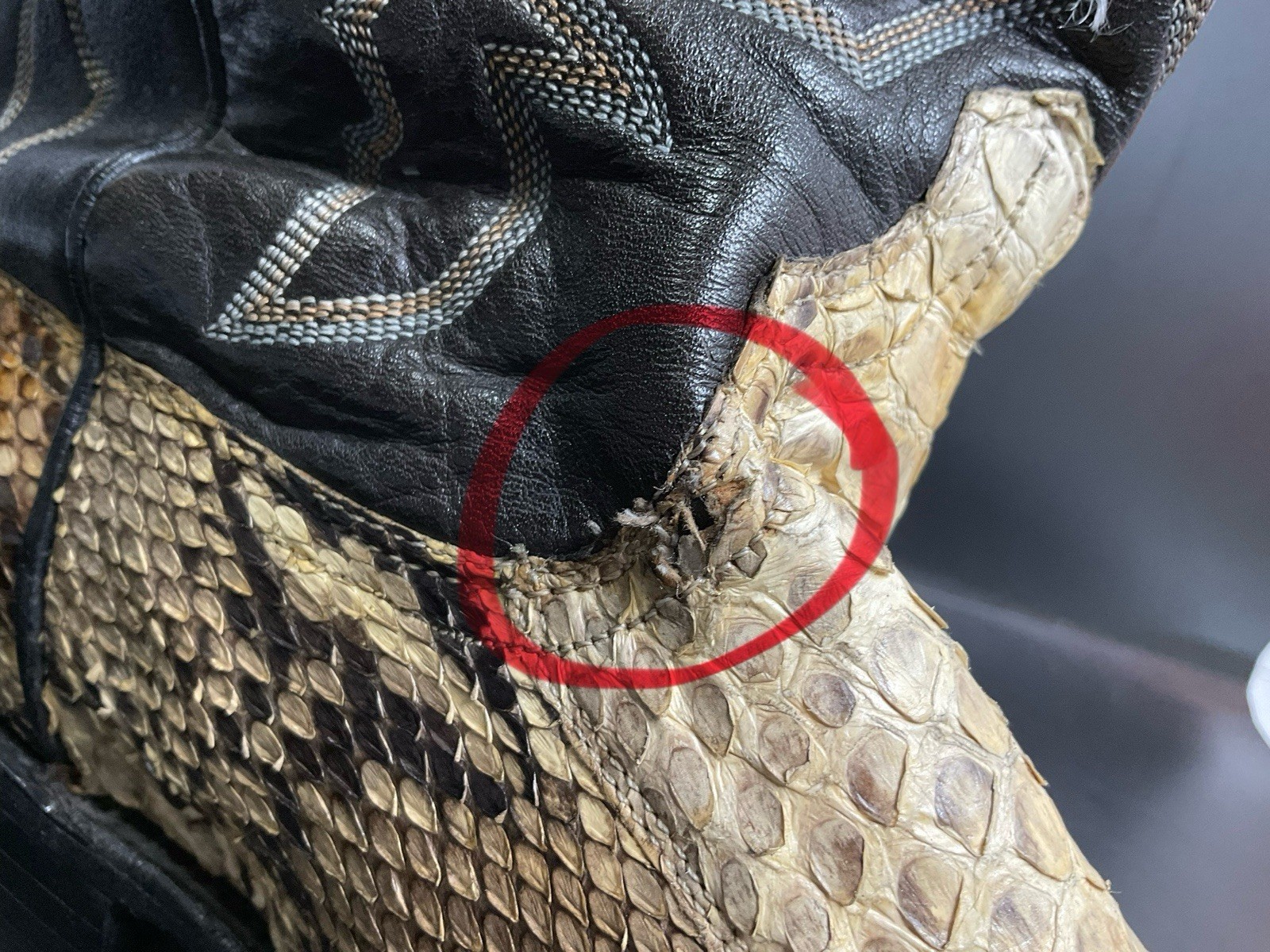 Lucchese 1883 Python Snake Cowboy Boots Men’s Siz… - image 24