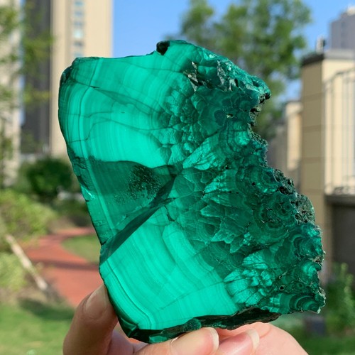 335G Malaquita Natural Brillante Transparente Racimo Muestra Mineral Áspero - Imagen 14 de 19