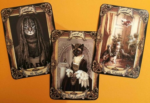 cat tarot card cards deck fortune telling rare vintage oracle cats supplies gift - Picture 11 of 12