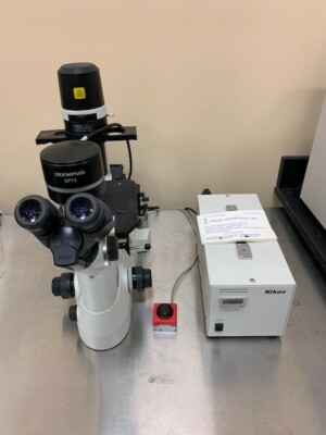 Nikon TS1000 with Olympus DP73 Camera and Nikon C-SHG Lighthouse 50W 110V 