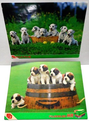 1980's FUJICOLOR Store Display St. BERNARD Puppies NEW & Dalmatians Poster