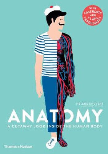 Thumbnail - Anatomy: A Cutaway Look Inside The Human Body By Druvert, Jean-claude
