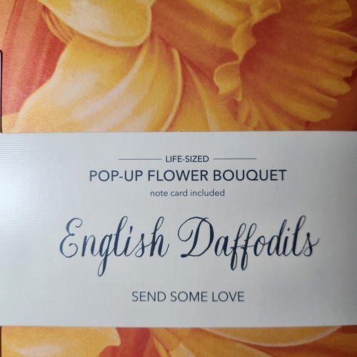 Lot of 2 Fresh Cut Paper Pop Up Flower Bouquet Cards New **envelope damage ** - Picture 7 of 10