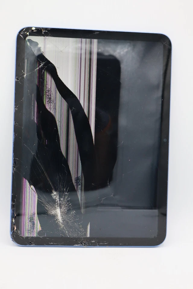 Apple iPad 10. Gen 64GB Wi-Fi Blau Displayschaden / DEFEKT #5848