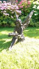 Bild 4 von 8