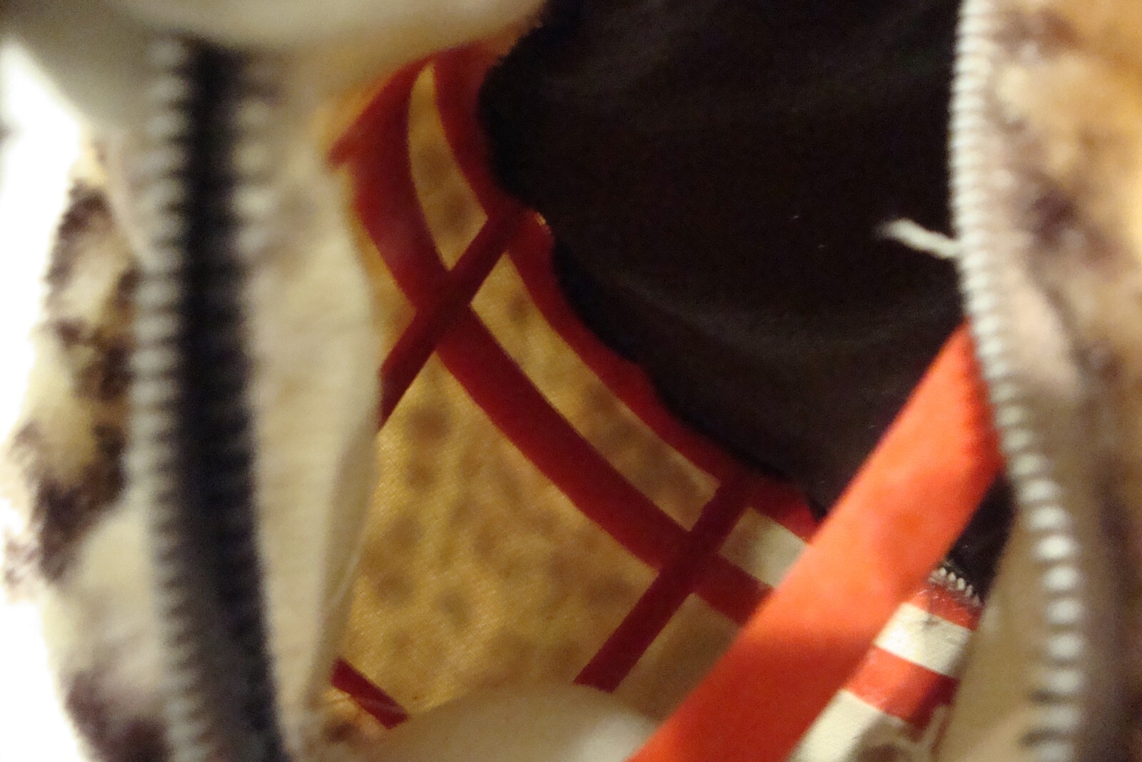 Bild 8 von 12