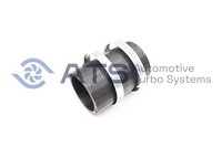 Ladeluftschlauch FüR Nissan Qashqai I (J10, NJ10) 1.5 Dci 78 14463JD50C, 14463PB