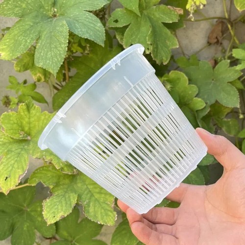 Orchideentöpfe Transparente Kunststoff Pflanztöpfe Pot mit Löchern Netztopf DE - Picture 14 of 20